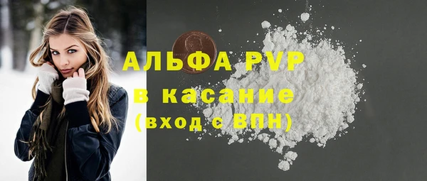 хмурый Верея