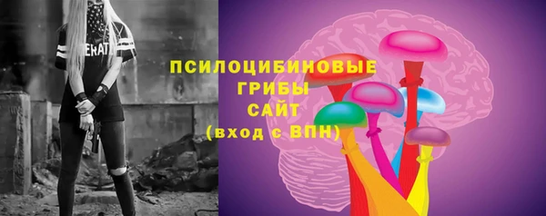 хмурый Верея