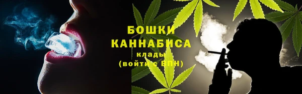 хмурый Верея