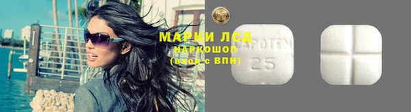 хмурый Верея
