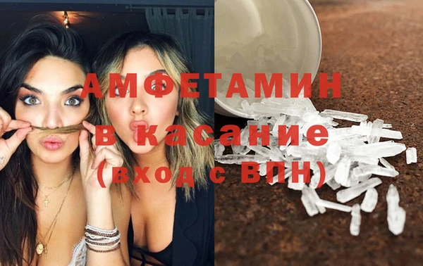 хмурый Верея