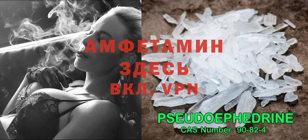 хмурый Верея