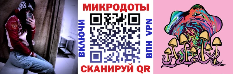 Галлюциногенные грибы Psilocybe  Купить закладки  Княгинино 